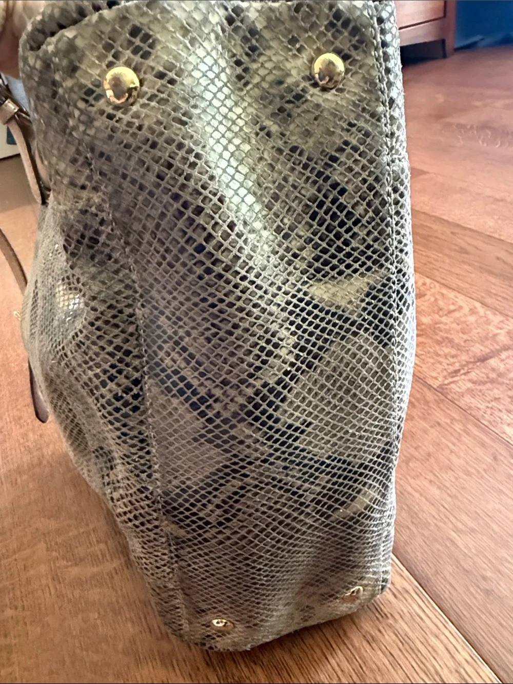 Michael Kors Snake-Print Tote in Beige and Taupe